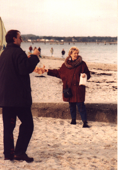 Drachensteigen am Ostseestrand