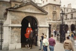 Eingang Downing Street