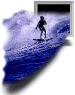 Surfer im WWW